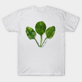 Spinach leaves T-Shirt